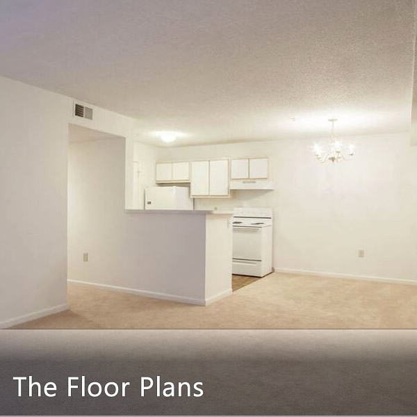 Spacious Floor Plans
